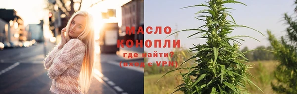 крисы Магас