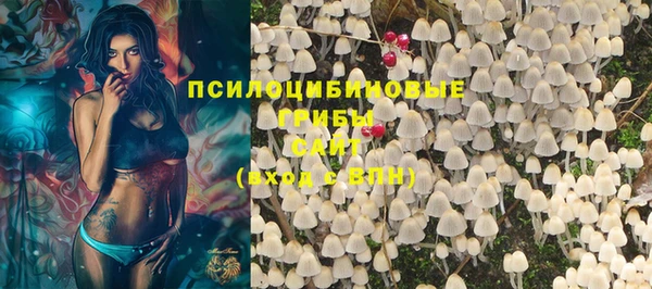 крисы Магас