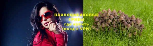 крисы Магас