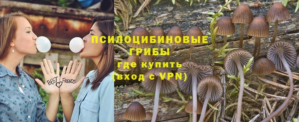 бошки Майский