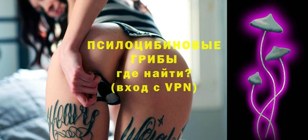 крисы Магас