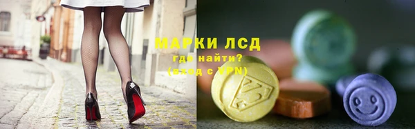 крисы Магас