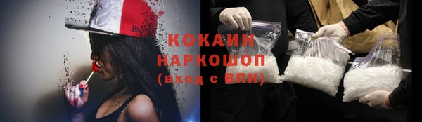 крисы Магас