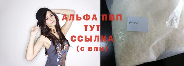 крисы Магас