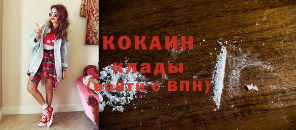 крисы Магас