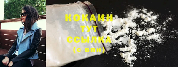 крисы Магас