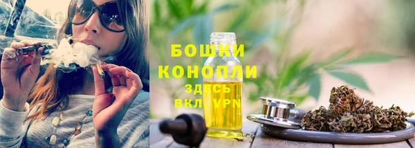 крисы Магас